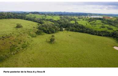 Large pasture farmland with trees and blue sky La Chorrera Panama