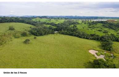 Aerial of large farm parcels with pond and trees La Chorrera Panama