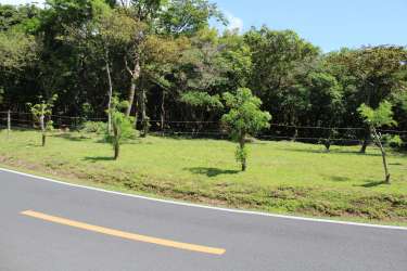 Grassy roadside lot with young trees and paved road frontage in El Valle Panama
