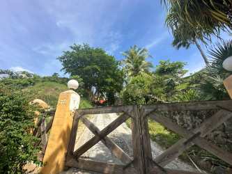 Infinity swimming pool with palm trees and ocean backdrop luxury villa Punta Roca Panama