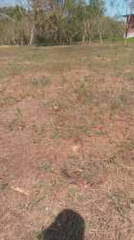 Land for Sale in Las Tablas - 0 bedrooms