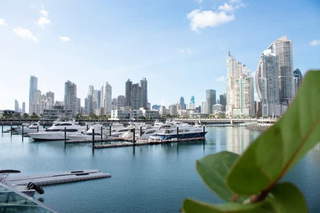 Land for Sale in Punta Pacifica - 0 bedrooms