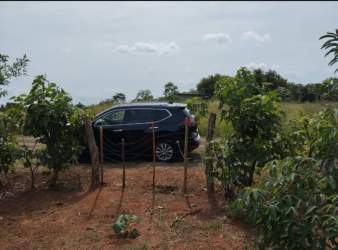 Open rural land with car access, fencing, and planted garden in Pedasí El Limón