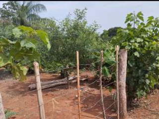 Land for Sale in El Limón - 0 bedrooms