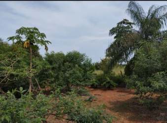 Tropical garden lot with dense vegetation and mature trees in rural Pedasí