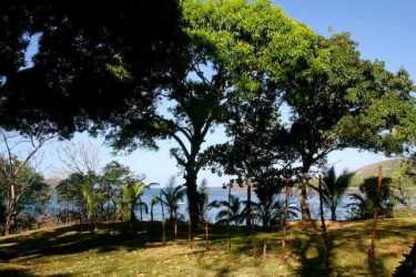 Spacious natural flat lot with mature trees perfect for oceanfront home or hotel in Panama