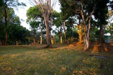 Sunny and shaded flat coastal land parcel with woods in Playa Santa Catalina Panama