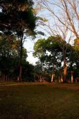 Land for Sale in Soná - 0 bedrooms