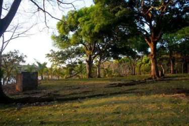 Large mature trees along open grassy waterfront lot in Playa Santa Catalina Panama coastal area