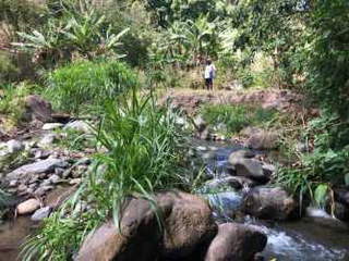 Land / Farm for Sale in Volcancito - 0 bedrooms
