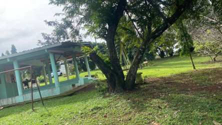 Country House with Pool & Fruit Trees in Capira for Rent - View 5