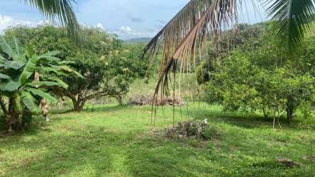 Country House with Pool & Fruit Trees in Capira for Rent - View 6