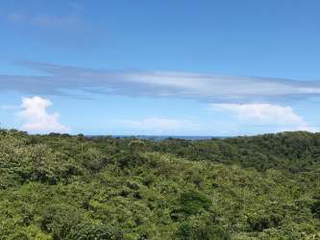 Land for Sale in Achiote - 0 bedrooms