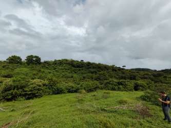 Hilly terrain with grass, bushes and cloudy sky in Achiote Colón Panama