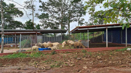 Bright office space with fans, windows and minimalist decor on farmland La Chorrera Panama