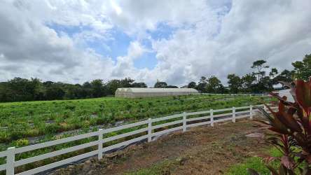 Expansive rural farmland with dirt path and white fence near La Chorrera Panama