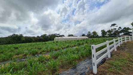 Inside view of farm warehouse with partitioned room and metal walls La Chorrera Panama