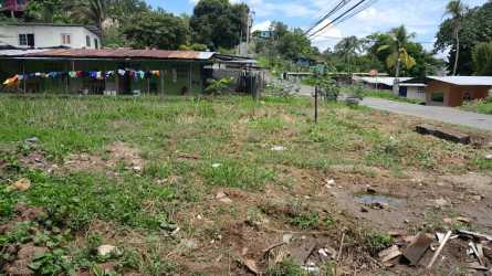 Vacant lot with trees and grass near market and Vacamonte port Panama