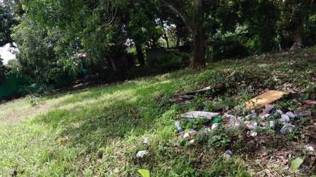 Vacant open lot with trees near Vacamonte seafood market Panama