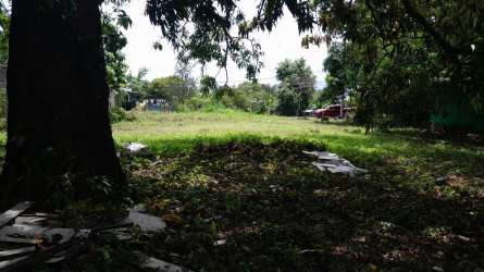 Shaded vacant lot with tree cover Vacamonte Arraiján Panama
