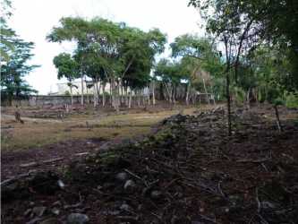 Fenced empty lot beside paved road near Panama Costa Rica border crossing