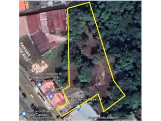 Densely wooded part of Paso Canoas commercial property with property line