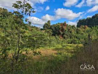 Land for Sale in Boquerón - 0 bedrooms