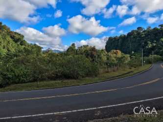 Curved paved road entrance with adjacent dense trees at Boquerón land for sale