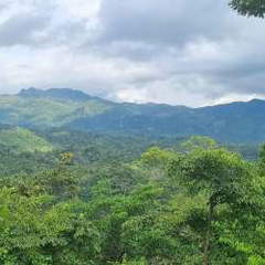 Land for Sale in Chiguirí Arriba - 0 bedrooms