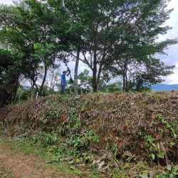 Beautiful mountain backdrop and forest landscape on large development land Penonomé Coclé Panama