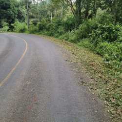 Paved curved road access with greenery forest edge large land for sale Penonomé Coclé Panama