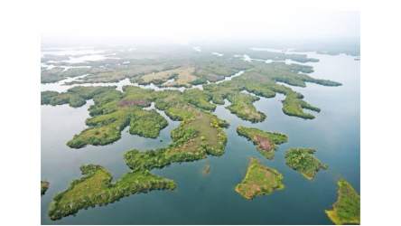 Multiple lush islands surrounded by clear Gatun Lake water in Panama suitable for eco development