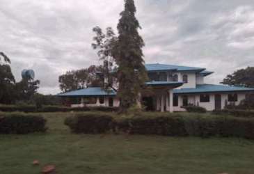 Scenic countryside with green meadows and scattered trees in San Francisco Veraguas Panama