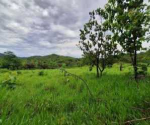 Vast flat farmland suitable for livestock grazing or crops in San Francisco Veraguas Panama