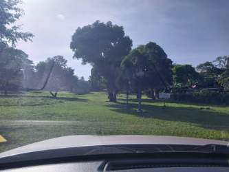 Open grassy lot with mature trees in Llano Grande Bejuco Chame Panama