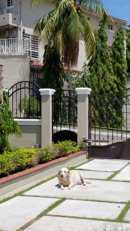 Functional kitchen with gas stove fridge microwave at house for rent Ancon Panama City