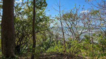 Coastal land near surf break with forest and ocean at Cambutal Panama