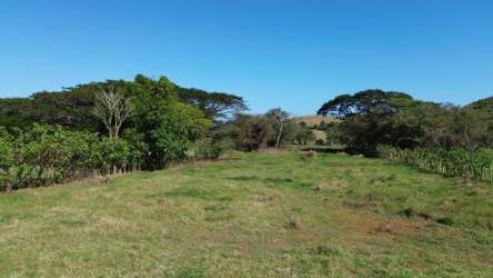Wide aerial view of cleared rural farmland fenced and ready for farming in Guararé Panama