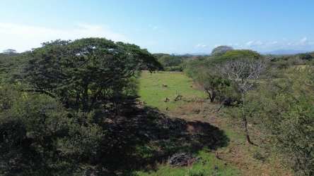 Fenced pasture with open terrain and countryside scenery in Guararé Panama