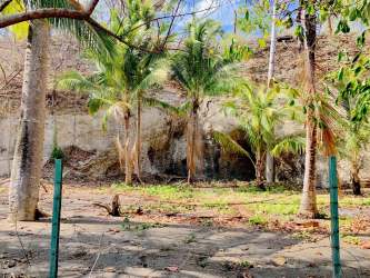 Oceanfront lot with trees Pacific coastal setting clear sky Horcones Cambutal Panama