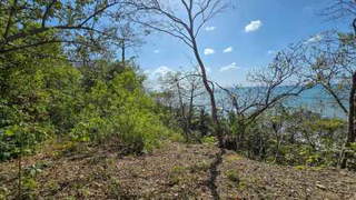 Land for Sale in Cambutal - 0 bedrooms