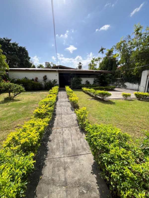 Curved empty swimming pool with patio area, lush garden in Altos del Golf house Panama
