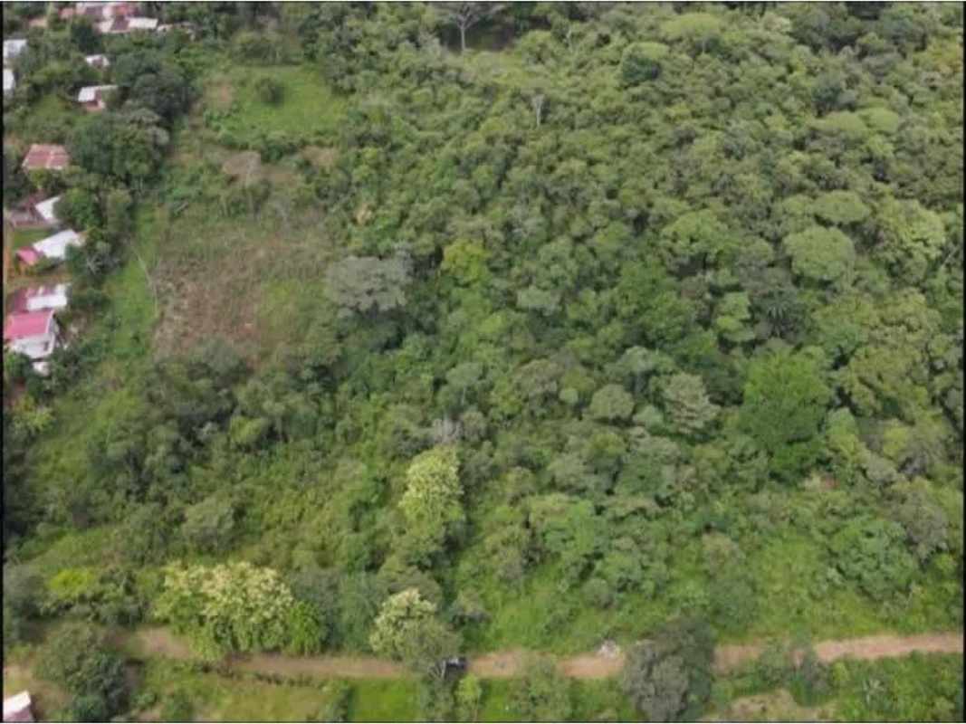 Large Pedregal Commercial Land 145,000m2 Prime Airport Zone