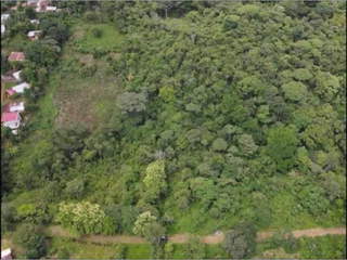 Land / Lot for Sale in Pedregal - 0 bedrooms