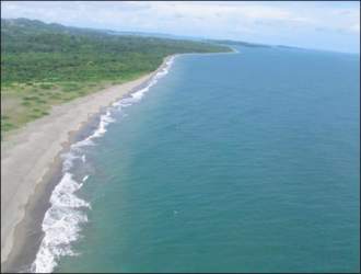 Lush greenery meeting sandy Pacific coastline at Isla Caña property for sale