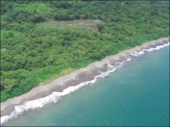 Lush tropical forest behind sandy beachfront of Isla Caña parcel Tonosí