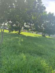 Grassy shaded lot with mature trees in peaceful gated countryside community Cabuya Gardens Punta Chame