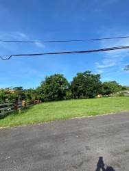 Open green land with large trees and distant mountain views in Cabuya Gardens gated community Panama Oeste