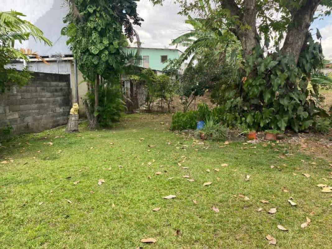 Tropical garden with mature trees backyard house Ciudad Radial Don Bosco Panama