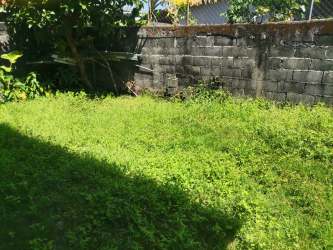 Private backyard garden with grass in residential house Vista Alegre Arraiján